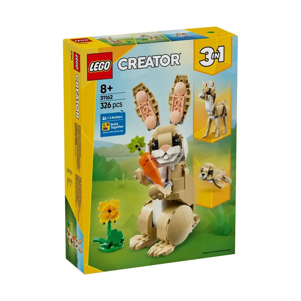 Կոնստրուկտոր լեգո Creator 3-ը 1-ում 31162